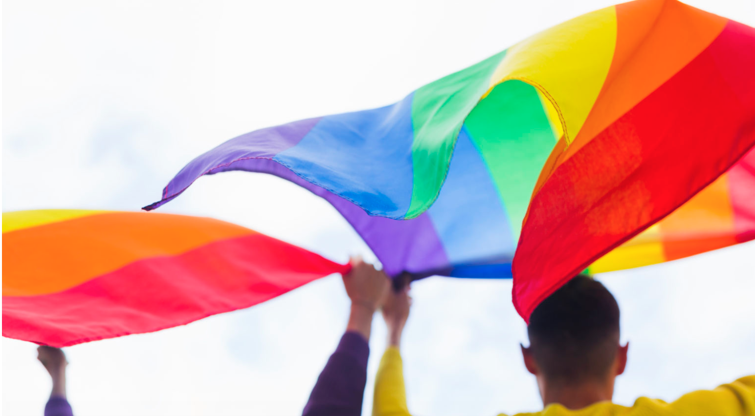 Il partito gay fomenta le adozioni per coppie Lgbt 1